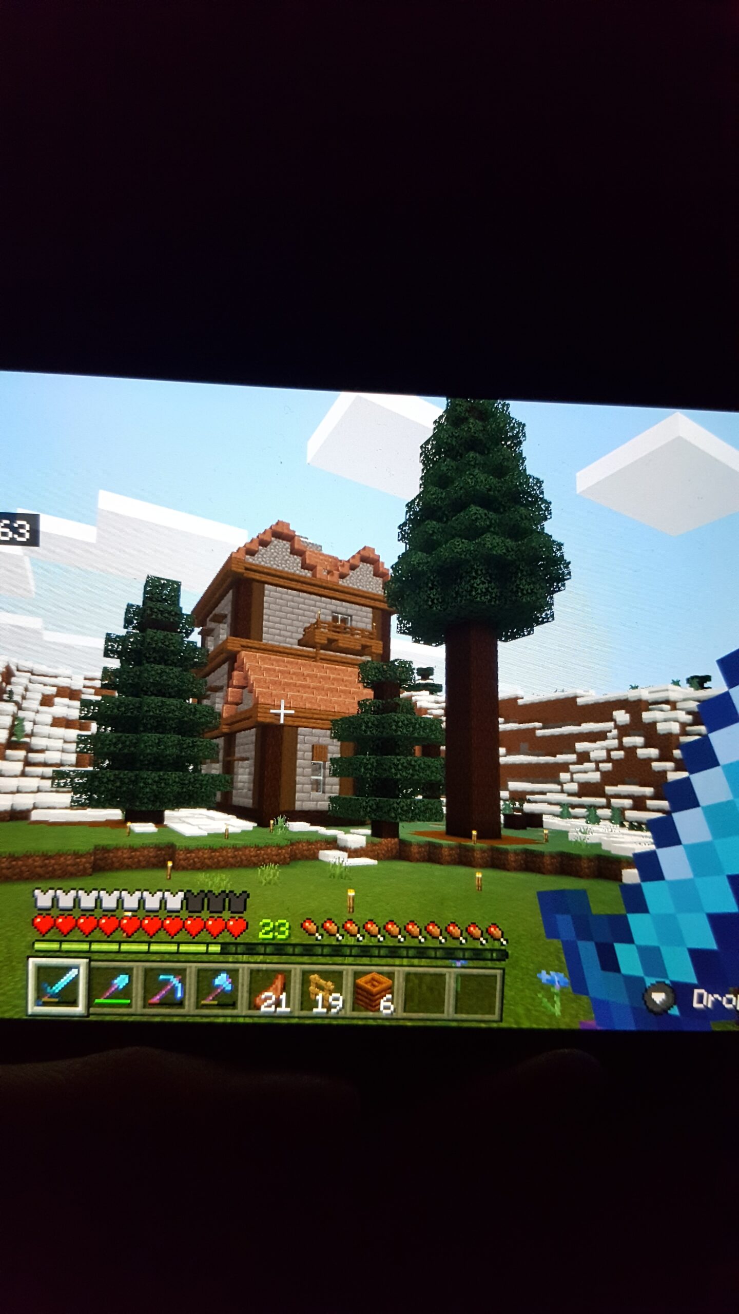 Minecraft screenshot
