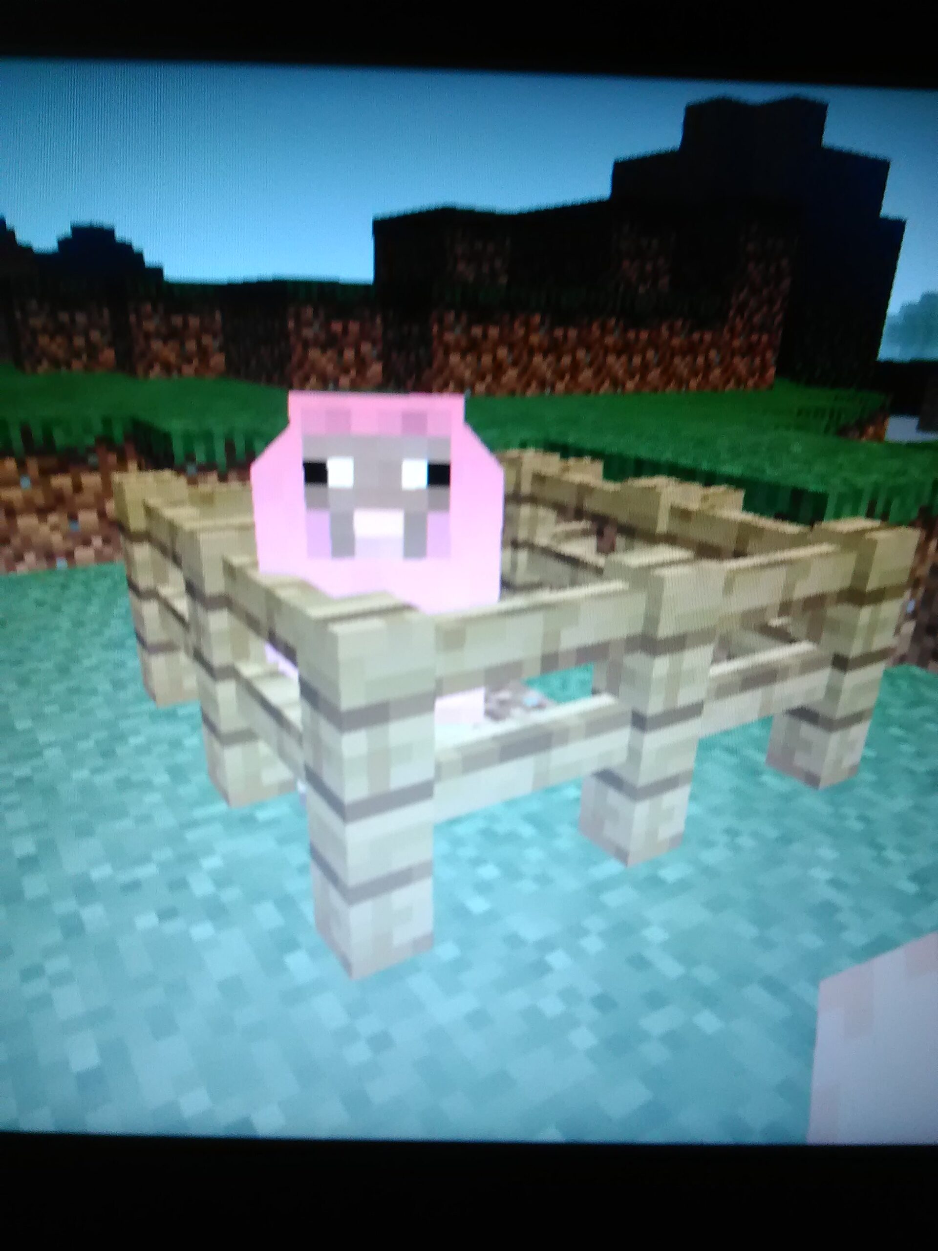 Minecraft screenshot