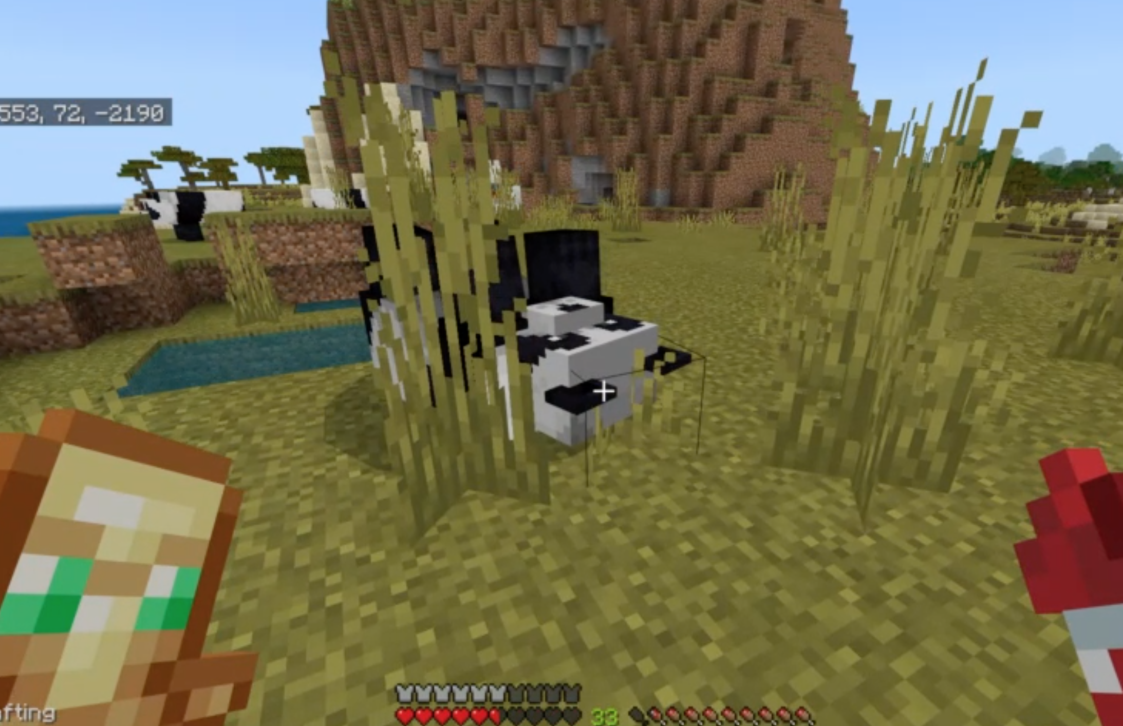 Minecraft screenshot