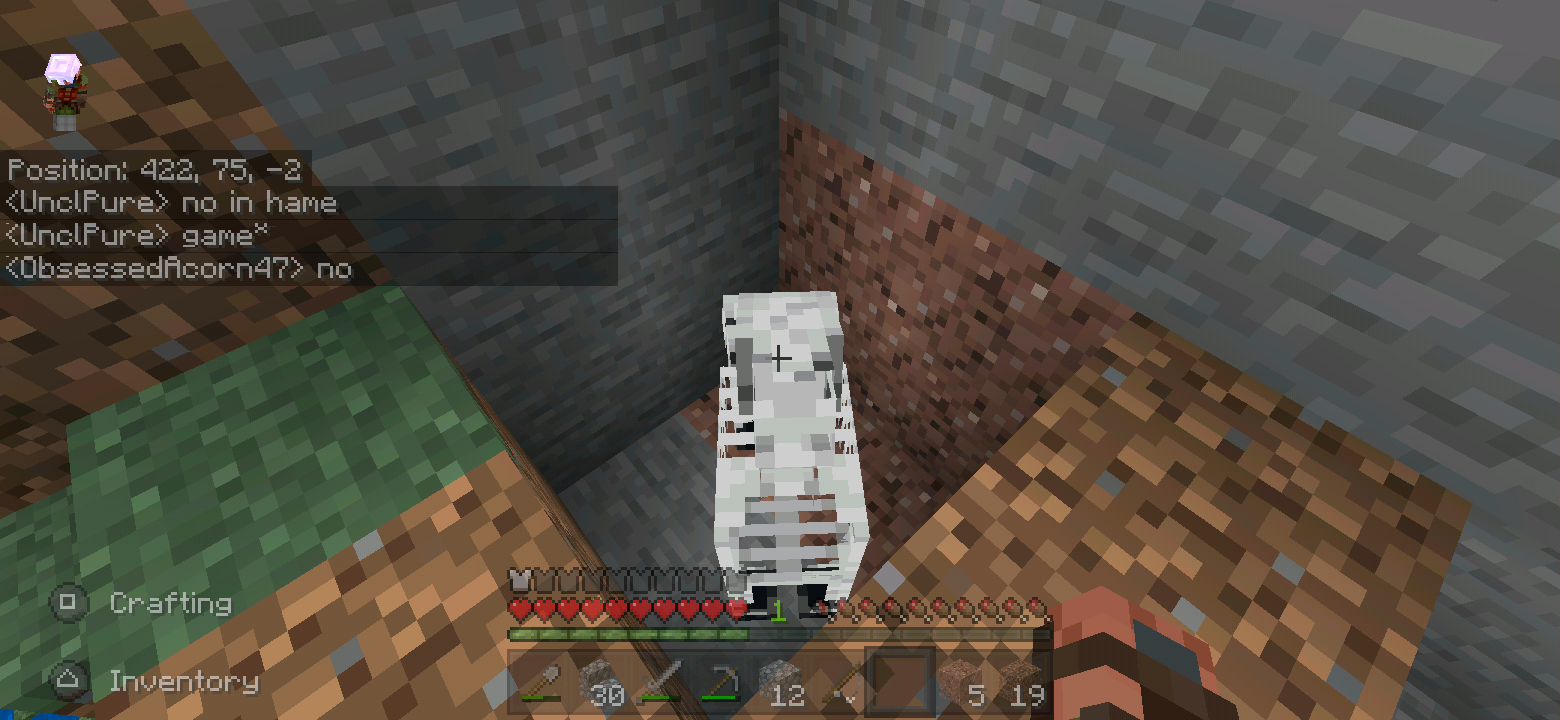 Minecraft screenshot