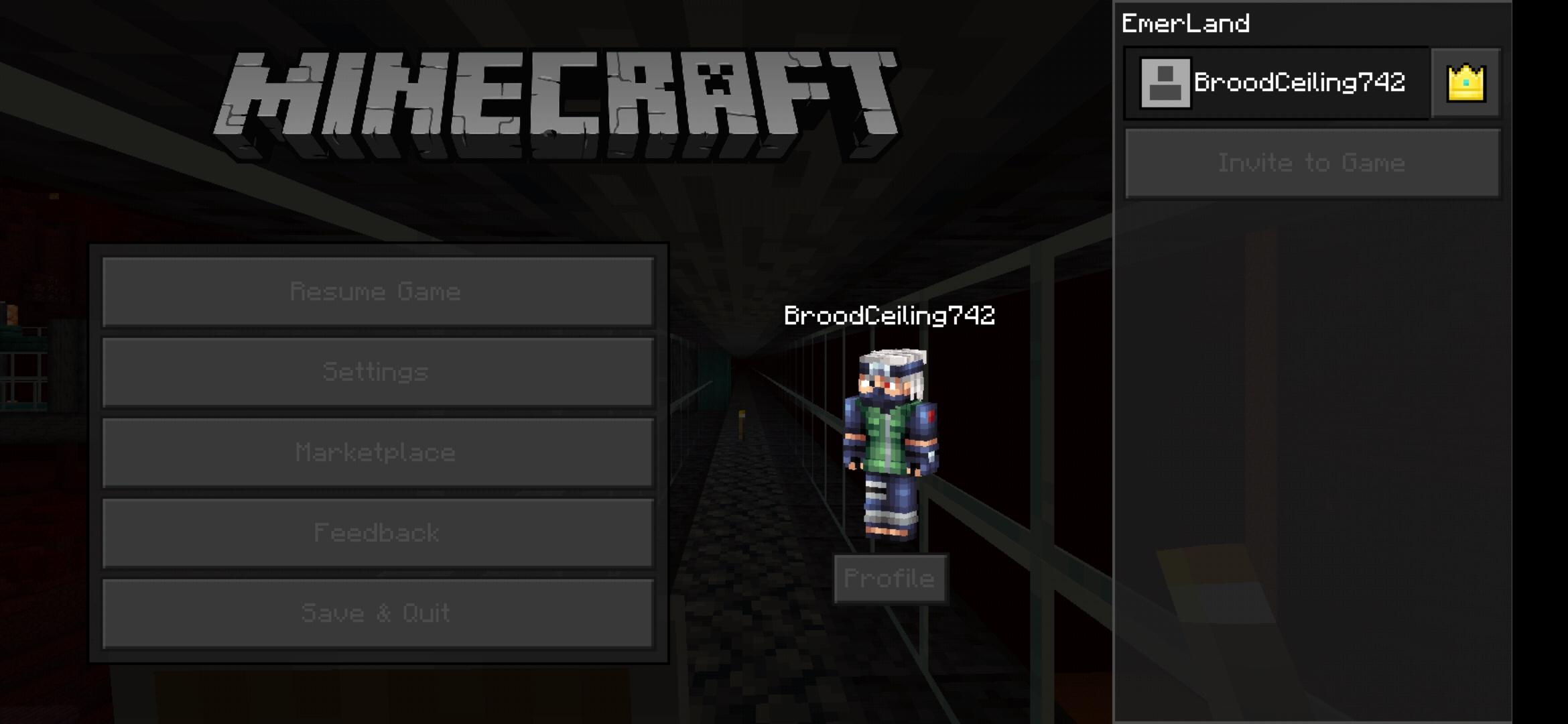 Minecraft screenshot