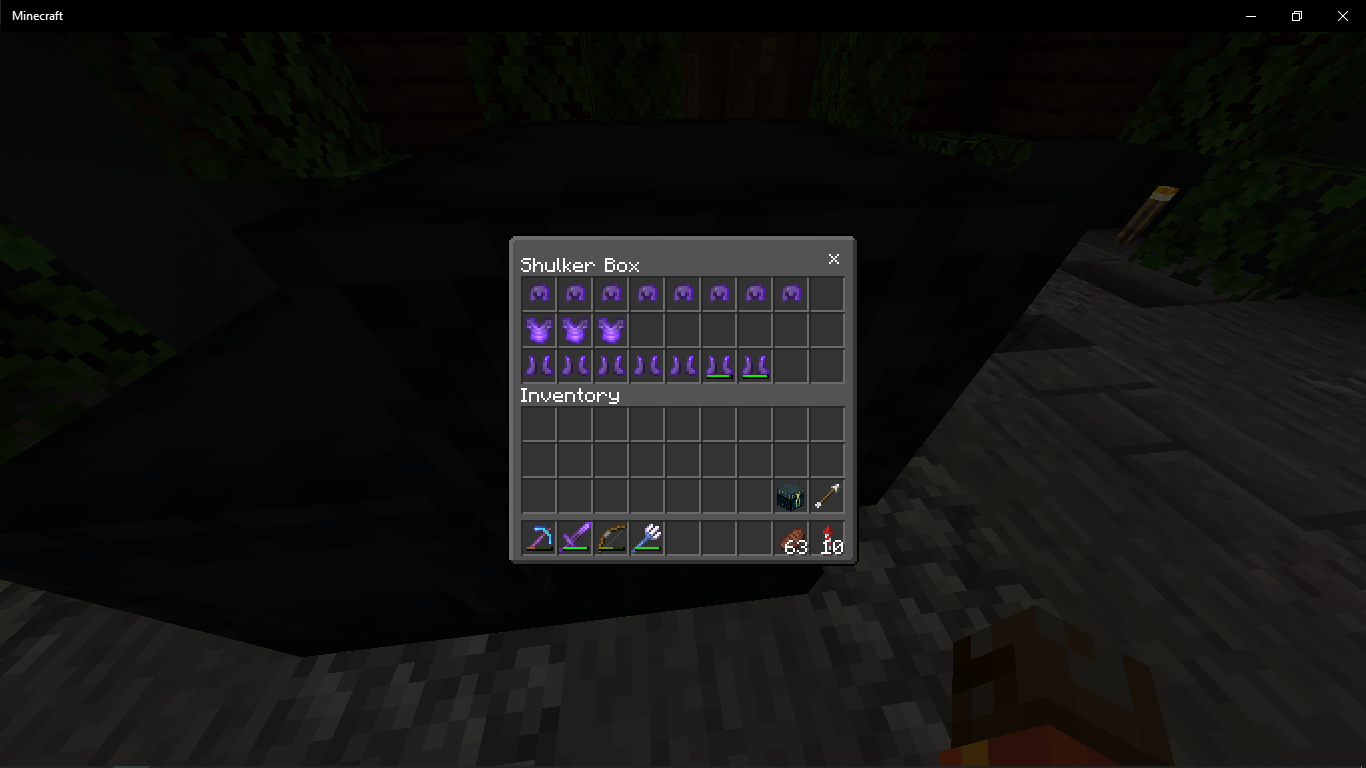 Minecraft screenshot