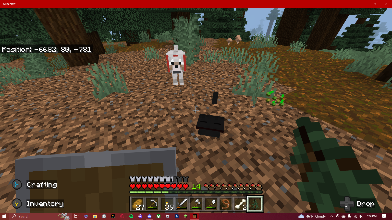 Minecraft screenshot