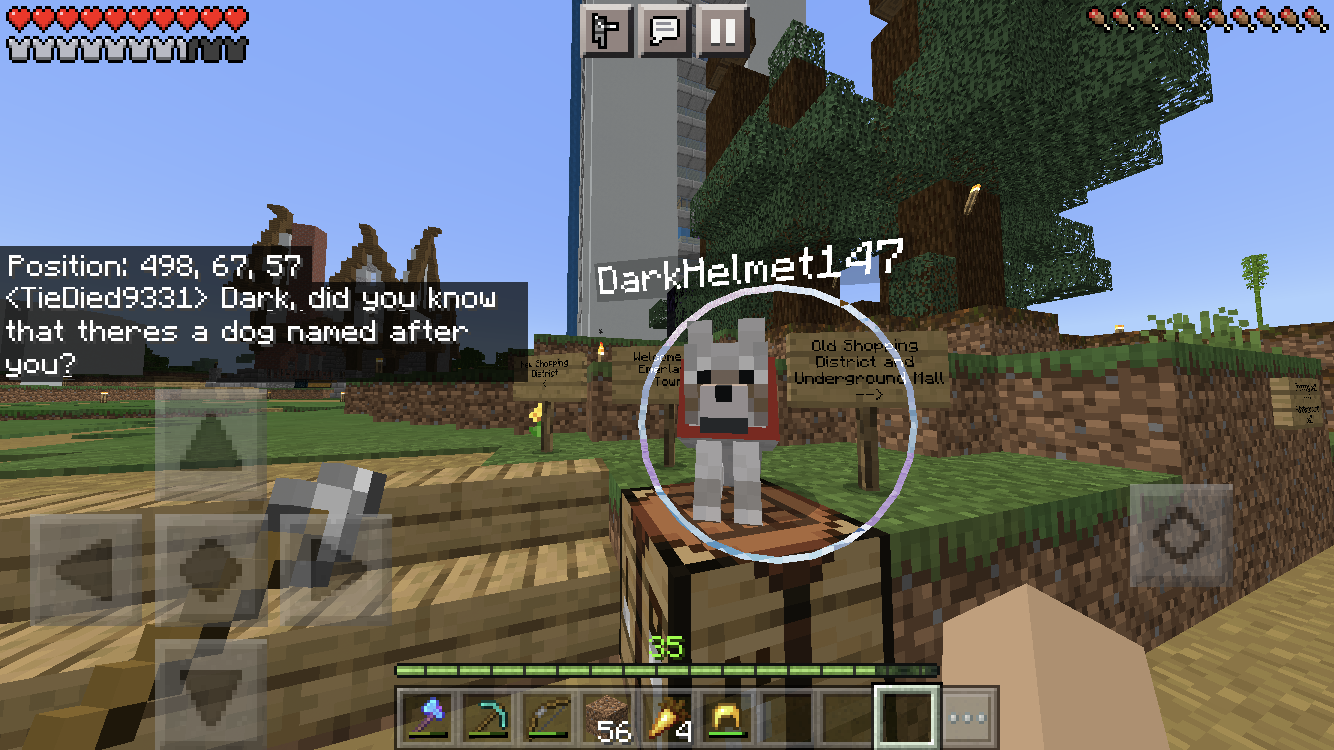 Minecraft screenshot