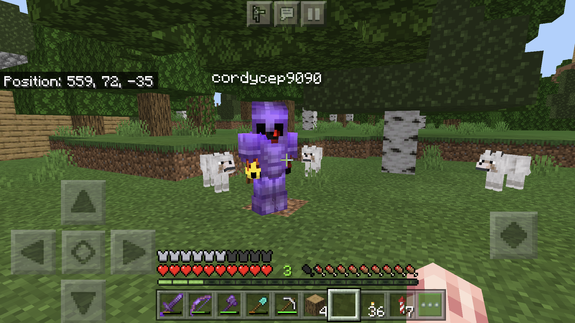 Minecraft screenshot