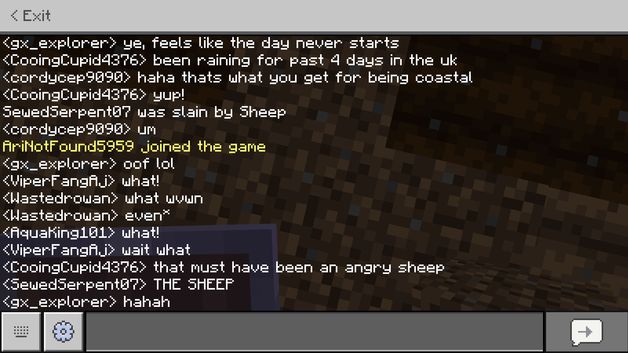 Minecraft screenshot