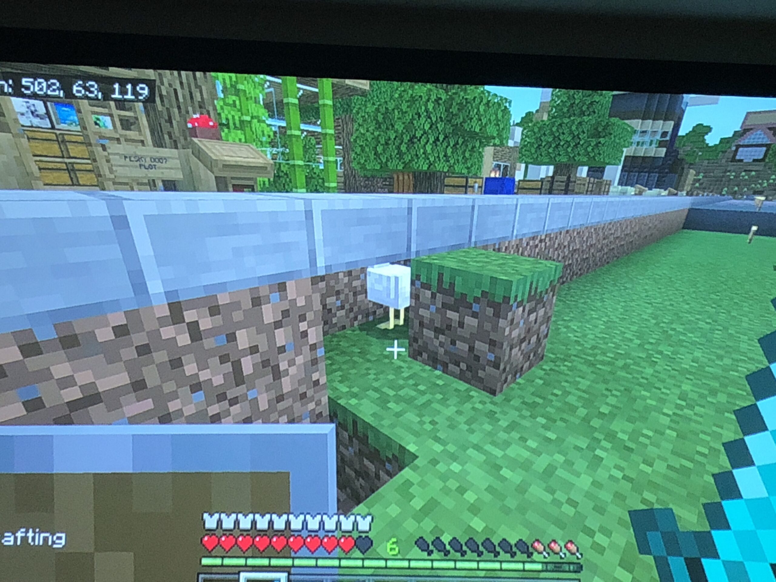 Minecraft screenshot