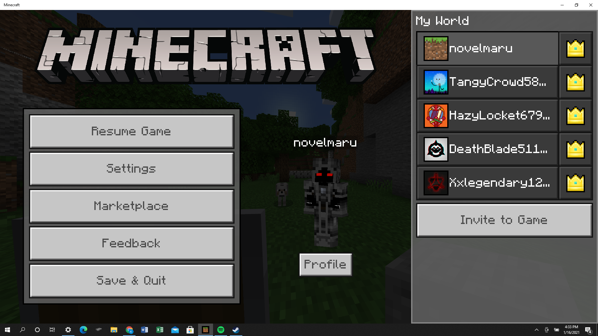 Minecraft screenshot
