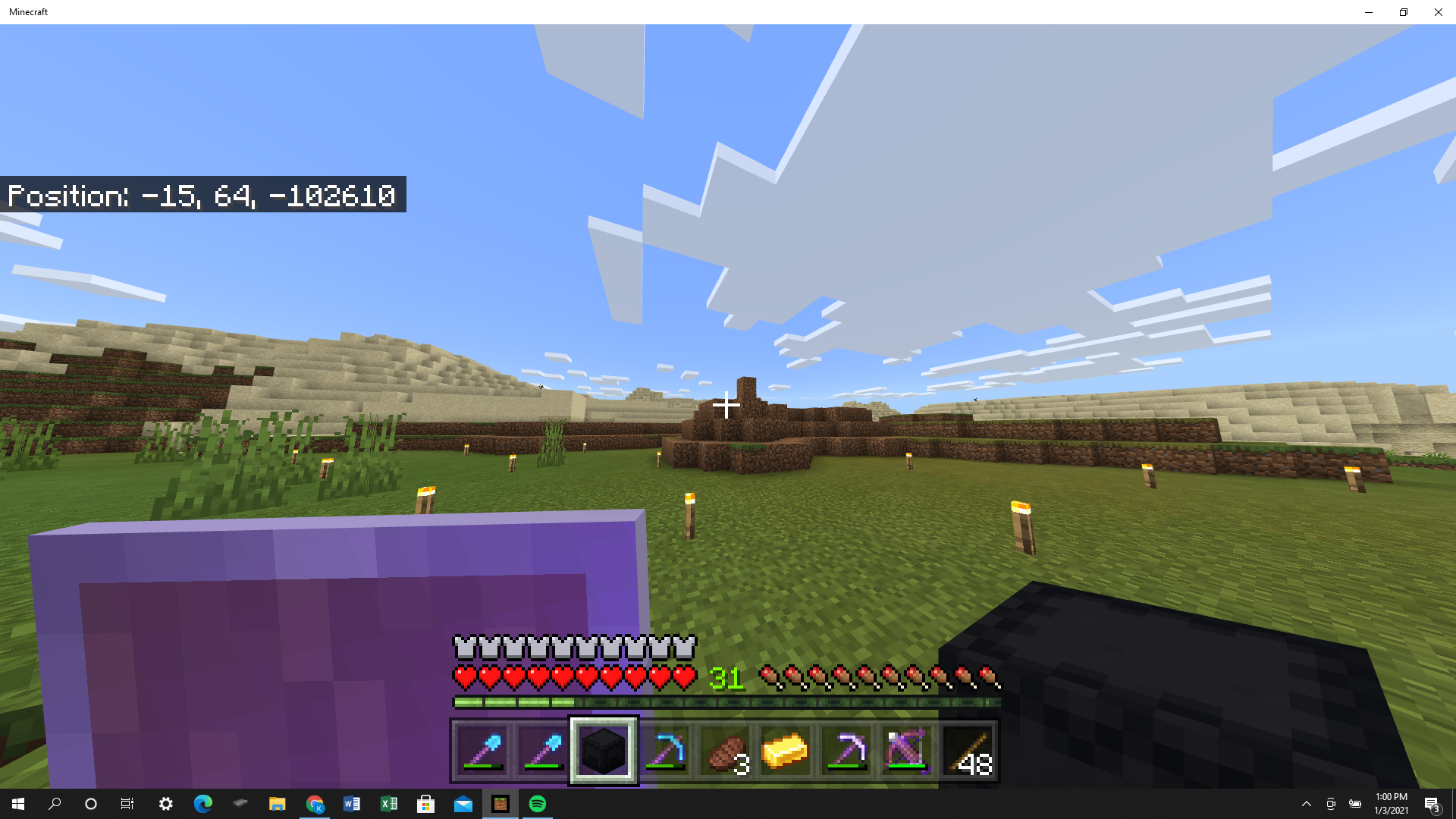Minecraft screenshot