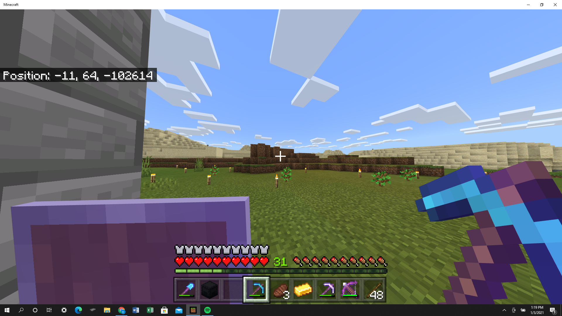 Minecraft screenshot