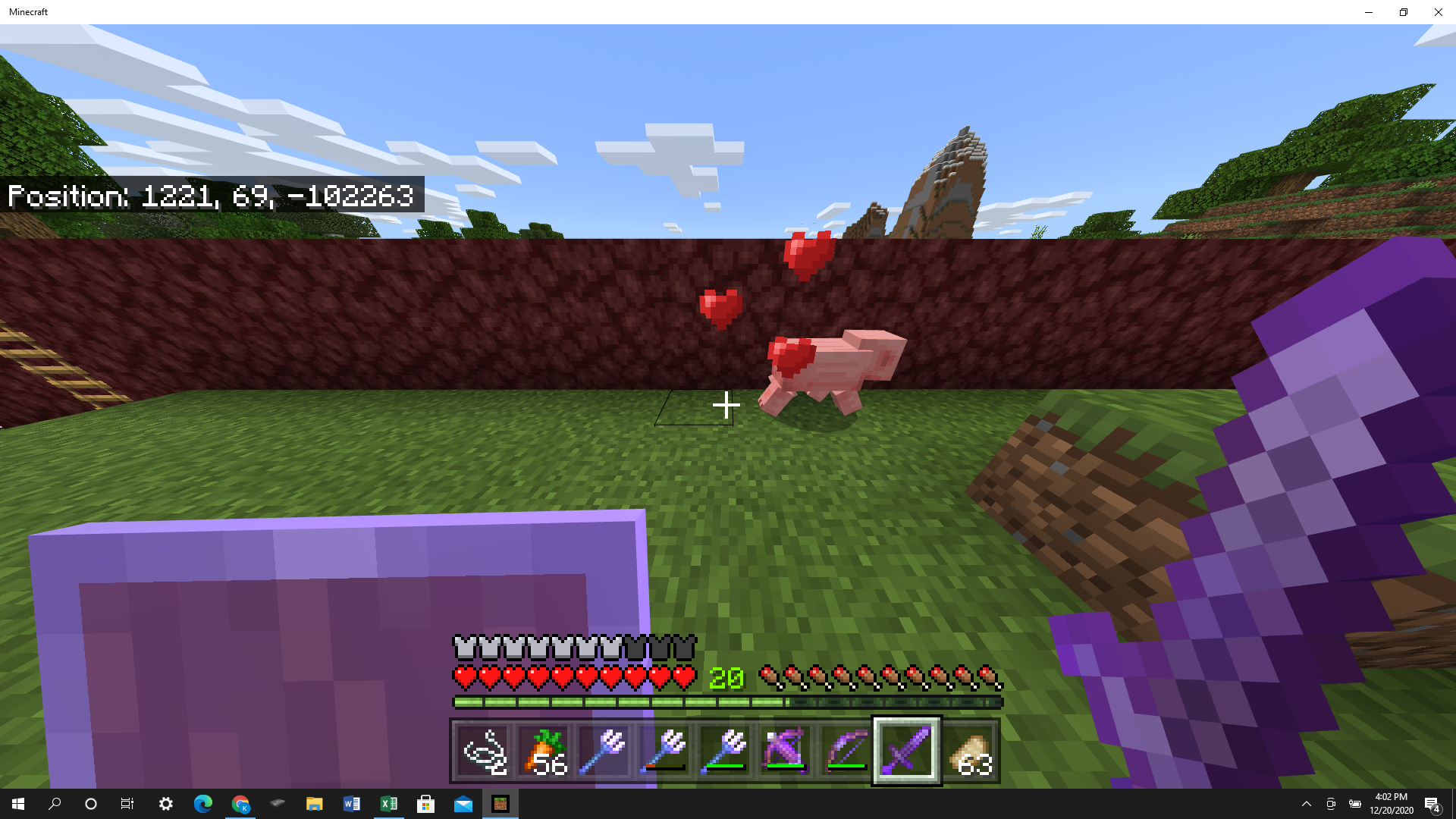 Minecraft screenshot