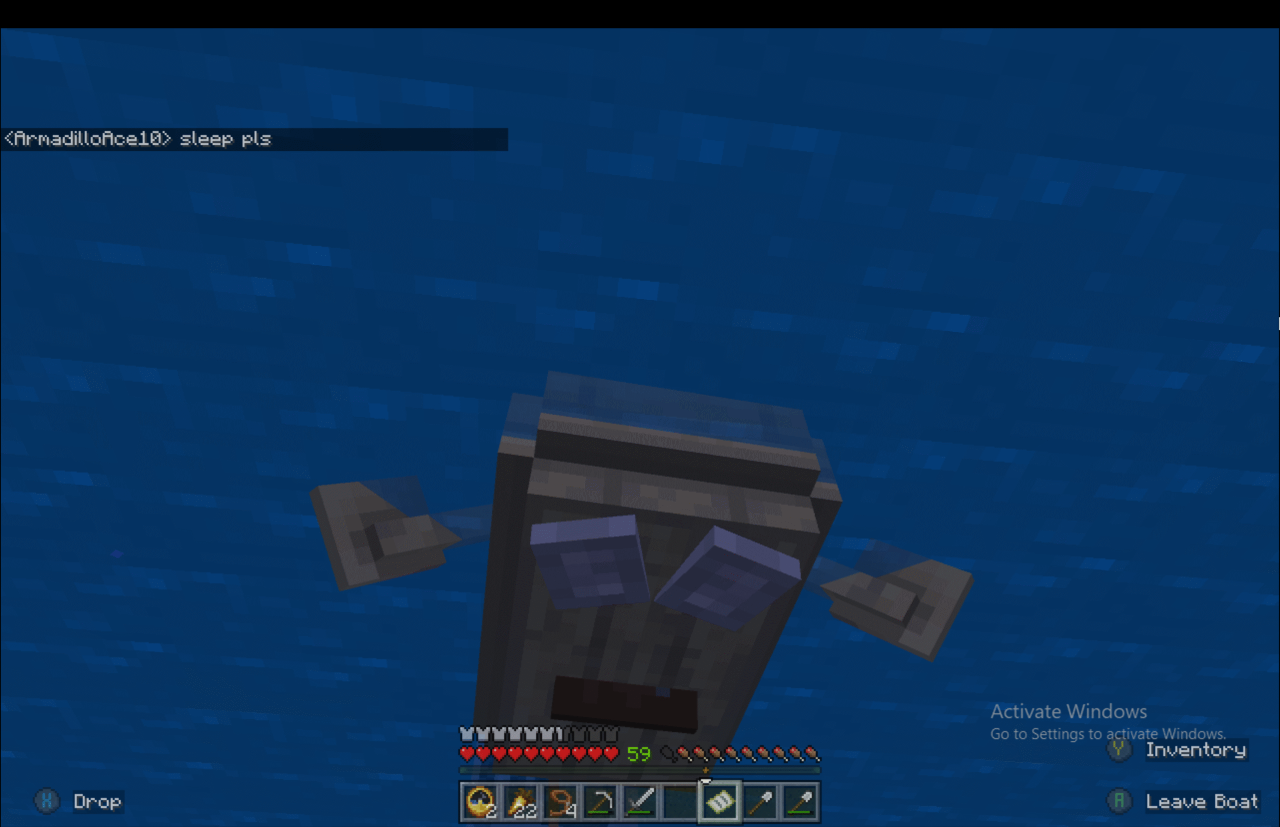 Minecraft screenshot